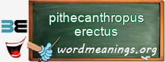 WordMeaning blackboard for pithecanthropus erectus